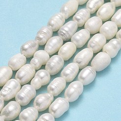 Natural Cultured Freshwater Pearl Beads Strands&nbsp;X-PEAR-J006-13A