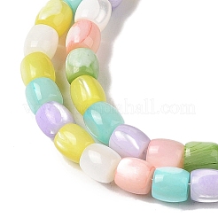 Natural Trochid Shell/Trochus Shell Beads Strands&nbsp;BSHE-H018-05