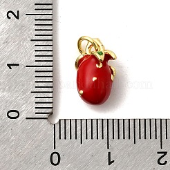 Brass with Enamel Charms&nbsp;KK-Q066-01F-G