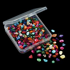 1 Strand Natural Chip Dyed Shell Beads Strands&nbsp;G-FS0005-77