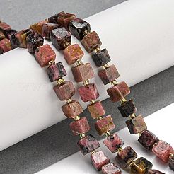 Natural Rhodonite Beads Strands&nbsp;G-G053-B11-01B