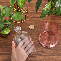 Clear Glass Dome Cover&nbsp;DJEW-WH0039-69B