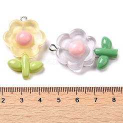 Translucent Resin Pendants&nbsp;CRES-M030-02