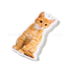 Opaque Printed Acrylic Pendants&nbsp;SACR-F018-01A