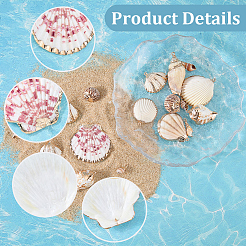 20Pcs 10 Styles Electroplated Natural Mixed Shell Pendants&nbsp;SHEL-SC0002-06