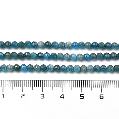 Natural Apatite Beads Strands&nbsp;G-G189-D16-02