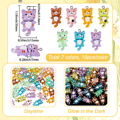 DIY Jewelry Making Kits&nbsp;DIY-SC0032-43