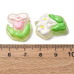 Transparent Resin Cabochons&nbsp;CRES-I046-09