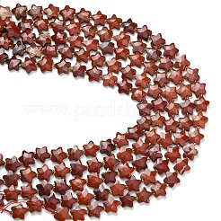 Natural Red Jasper Beads Strands&nbsp;G-L657-A04-01