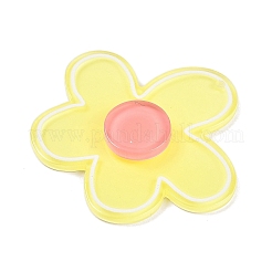 Acrylic Pendants&nbsp;OACR-Q100-14D