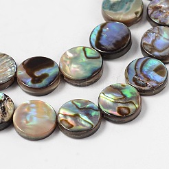 Natural Abalone Shell/Paua Shell Beads Strands&nbsp;SHS014-01