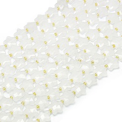 Natural Quartz Crystal Beads Strands&nbsp;G-P573-C03-01