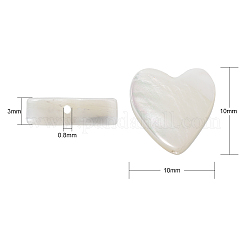 Natural Trochid Shell/Trochus Shell Beads&nbsp;SHEL-CJ0001-21