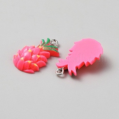 Opaque Resin Pendants&nbsp;RESI-TAC0009-20-1