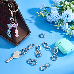 12Pcs 2 Styles Alloy Swivel Clasps & Brass Spring Gate Rings Kits&nbsp;FIND-PH0029-40P