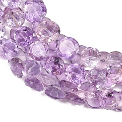 Natural Amethyst Beads Strands&nbsp;G-Z152-B01-01