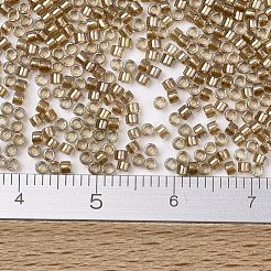 MIYUKI Delica Beads&nbsp;SEED-X0054-DB2396