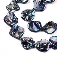 Freshwater Shell Beads Strands&nbsp;X-SHEL-N026-204