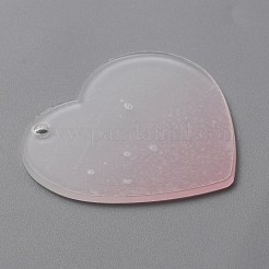 Gradient Transparent Acrylic Disc Big Pendants&nbsp;FIND-WH0032-54B