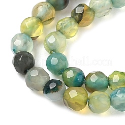 Natural Agate Beads Strands&nbsp;G-H302-A01-08