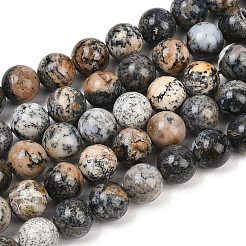 Natural Black African Opal Bead Strands&nbsp;G-H351-A01-01