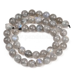 Natural Labradorite Beads Strands&nbsp;G-L654-O02-8mm