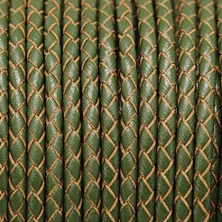 Braided Leather Cord&nbsp;WL-E019-3mm-15