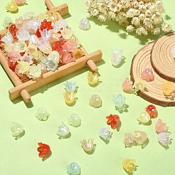 300Pcs 6-Petal Imitation Jelly Acrylic Bead Caps&nbsp;JACR-CJ0001-02
