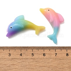 Gradient Color Resin Cabochons&nbsp;RESI-H035-04