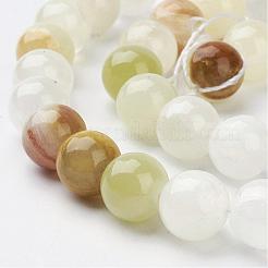 Natural Green Banded Calcite(Afghan Jade) Round Beads Strands&nbsp;GSR10mmC008
