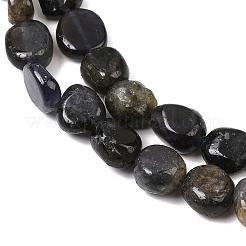 Natural Iolite/Cordierite/Dichroite Beads Strands&nbsp;G-A284-A02-03