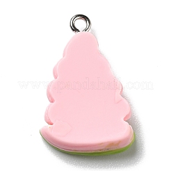Opaque Resin Pendants&nbsp;RESI-D055-024P