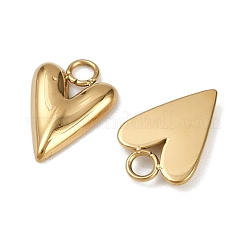 304 Stainless Steel Charms&nbsp;STAS-R170-01G-04