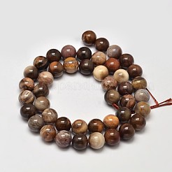 Natural Petrified Wood Round Bead Strands&nbsp;G-F266-08-8mm