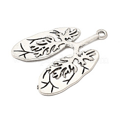 Tibetan Style Alloy Pendants&nbsp;PALLOY-F318-07AS