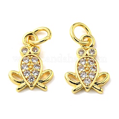 Rack Plating Brass Micro Pave Cubic Zirconia Charms&nbsp;KK-D036-05G