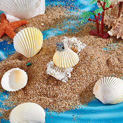40Pcs Natural Shell for Aquarium Fish Tank Ornaments&nbsp;SHEL-PH0001-69C