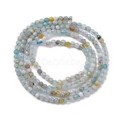 Natural Amazonite Beads Strands&nbsp;G-E351-10A-01