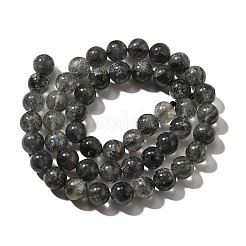 Natural Biotite Beads Strands&nbsp;G-F784-A03-02