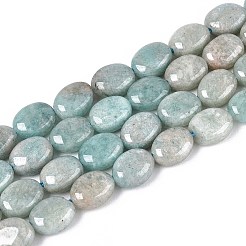 Natural Amazonite Beads Strands&nbsp;G-T142-24