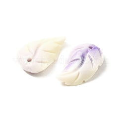 Synthetic Shell Dyed Carved Feather Charms&nbsp;BSHE-H111-02