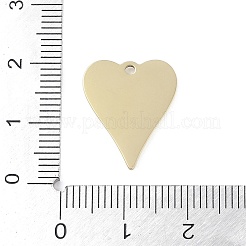304 Stainless Steel Pendants&nbsp;STAS-L022-109G-02