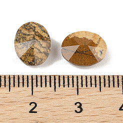 Natural Picture Jasper Cabochons&nbsp;G-C146-02C