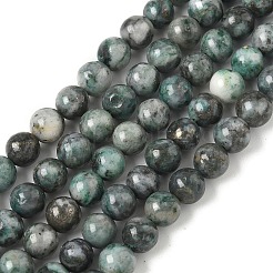Natural Dioptase Beads Strands&nbsp;G-D302-02-6mm