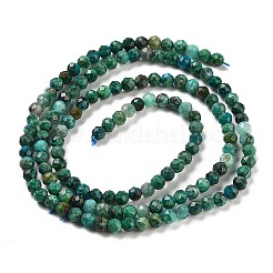 Natural Chrysocolla Beads Strands&nbsp;G-P514-A03-02-01