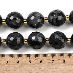 Natural Larvikite Beads Strands&nbsp;G-C249-A07-16mm