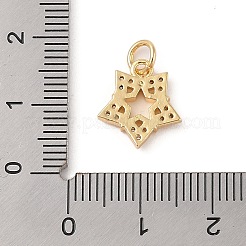 Brass Micro Pave Clear Cubic Zirconia Pendants&nbsp;ZIRC-P121-08G