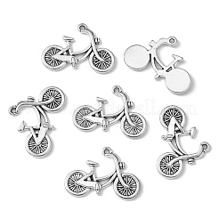 Alloy Pendants&nbsp;PALLOY-A13030-AS-RS