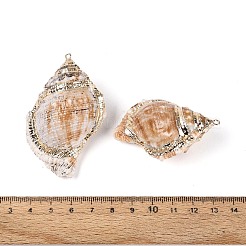 Electroplate Natural Sea Shell Big Pendants&nbsp;SSHEL-T018-01