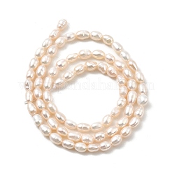 Natural Cultured Freshwater Pearl Beads Strands&nbsp;PEAR-I007-01L-01A